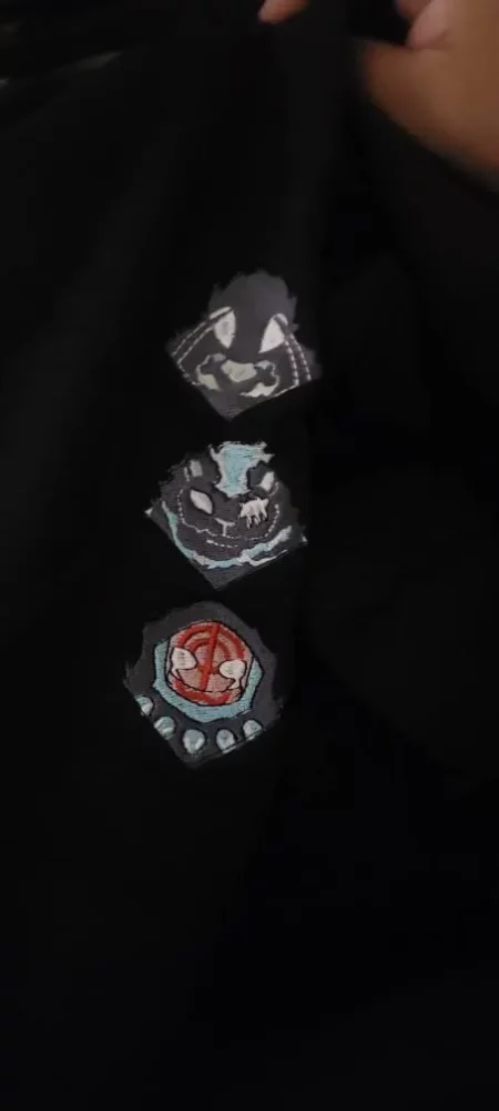 The Leveling System-Inspired Embroidered Sweatshirt Japan Anime Style photo review